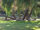 Old Poway Midland Public Park