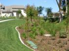 Beautifully designed golf cart routes through the various subdivisions of Carmel Mountain Ranch