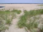 Path to the beach