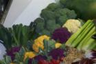 Hollis - plentiful organic produce fresh from the farm
      (c) 2007 Joan Whitebook