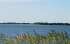 Westside of lake and summer grasses
