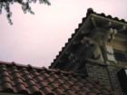 Roof Scape of Storm Lake