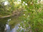 View down the Thornapple River from the covered Bridge
