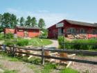 Emery Farm on Route 4