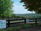 The orchard at Unicorn Winery