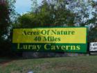 Luray Caverns...is a serious of underground caverns with beautiful rock formations