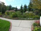 One of the perennial borders in the Cascade Town Hall Museum Gardens