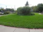 Cascade Town Hall Museum Gardens 