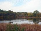 Clarke Pond in Magnolia