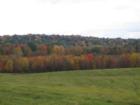 Fall foliage in Claverack NY
