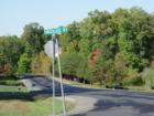Street scene from Hunter's Ridge..as you can the community is beautiful with the streets lined with mature trees