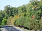 Hunters Ridge...residents enjoy their own private show in the fall..the changing of the leaves is breath taking at it's peak