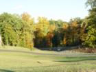 Landscape scene from Vista Brooke community, this is overlooking a preserve area with water reserves