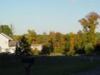 Gorgeous tree line at the back of Vista Brooke Community....these communities with the mature trees are beautiful in the fall..