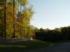 Forest Brooke..gorgeous tree lined streets..abundance of color in the fall