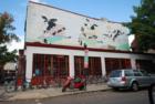 This mural is starting to fade.  The cows eating ice cream and riding bikes was sponsored by Ben & Jerry when they had an ice cream shop next to the bike store.