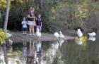 Feeding the geese in Meyer Park in Spring TX