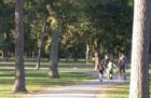 Enjoy roller blading on the smooth trails at Meyer Park in Spring TX