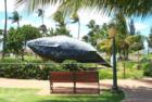 Kihei Park area