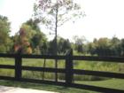 Estates at Breyerton...a small community of larger lots located off of route 15 in Gainesville, this is a street scene which reflects the feel of the community
