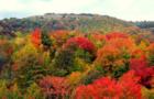 Breathtaking colors of fall in Maggie Valley, NC