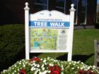 Tree Walk Sign - Main St. & Mill Rd. - Westhampton Beach, New York