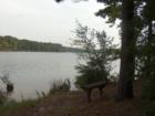Holly Lake Ranch - deer in backyard Texas lake view , Texas lake front a private gated high security resort area in East Texas enjoy 3.5 acre lake house for only $499,999 contact Lynn 972-699-9111 http://www.lynn911.com more details. 