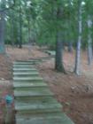 Holly Lake Ranch - deer in backyard Texas lake view , Texas lake front a private gated high security resort area in East Texas enjoy 3.5 acre lake house for only $499,999 contact Lynn 972-699-9111 http://www.lynn911.com more details. 
      
