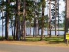 Love those Piney Woods! This is out by Westwood Shores, Trinity.