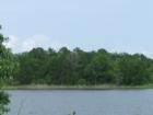 This was a great day for boating.