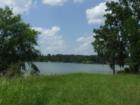 I love the trees next to the water. Hardwoods here grow to be up to 300 years old.