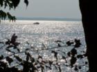 Lake Livingston shimmers like diamonds.