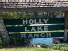 Holly Lake Ranch - deer in backyard Texas lake view , Texas lake front a private gated high security resort area in East Texas enjoy 3.5 acre lake house for only $499,999 contact Lynn 972-699-9111 http://www.lynn911.com more details. 
      
