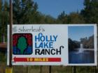 Holly Lake Ranch - deer in backyard Texas lake view , Texas lake front a private gated high security resort area in East Texas enjoy 3.5 acre lake house for only $499,999 contact Lynn 972-699-9111 http://www.lynn911.com more details. 
      