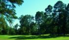 Holly Lake Ranch - deer in backyard Texas lake view , Texas lake front a private gated high security resort area in East Texas enjoy 3.5 acre lake house for only $499,999 contact Lynn 972-699-9111 http://www.lynn911.com more details. 
      