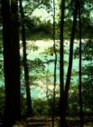 Holly Lake Ranch - deer in backyard Texas lake view , Texas lake front a private gated high security resort area in East Texas enjoy 3.5 acre lake house for only $499,999 contact Lynn 972-699-9111 http://www.lynn911.com more details. 
      