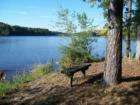 Holly Lake Ranch - deer in backyard Texas lake view , Texas lake front a private gated high security resort area in East Texas enjoy 3.5 acre lake house for only $499,999 contact Lynn 972-699-9111 http://www.lynn911.com more details. 
      