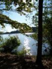 Holly Lake Ranch - deer in backyard Texas lake view , Texas lake front a private gated high security resort area in East Texas enjoy 3.5 acre lake house for only $499,999 contact Lynn 972-699-9111 http://www.lynn911.com more details. 
      