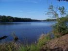 Holly Lake Ranch - deer in backyard Texas lake view , Texas lake front a private gated high security resort area in East Texas enjoy 3.5 acre lake house for only $499,999 contact Lynn 972-699-9111 http://www.lynn911.com more details. 
      