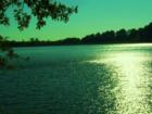 Holly Lake Ranch - deer in backyard Texas lake view , Texas lake front a private gated high security resort area in East Texas enjoy 3.5 acre lake house for only $499,999 contact Lynn 972-699-9111 http://www.lynn911.com more details. 
      