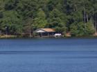 Holly Lake Ranch - deer in backyard Texas lake view , Texas lake front a private gated high security resort area in East Texas enjoy 3.5 acre lake house for only $499,999 contact Lynn 972-699-9111 http://www.lynn911.com more details. 
      