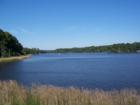 Holly Lake Ranch - deer in backyard Texas lake view , Texas lake front a private gated high security resort area in East Texas enjoy 3.5 acre lake house for only $499,999 contact Lynn 972-699-9111 http://www.lynn911.com more details. 
      