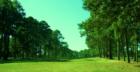 Holly Lake Ranch - deer in backyard Texas lake view , Texas lake front a private gated high security resort area in East Texas enjoy 3.5 acre lake house for only $499,999 contact Lynn 972-699-9111 http://www.lynn911.com more details. 
      