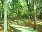 Holly Lake Ranch - deer in backyard Texas lake view , Texas lake front a private gated high security resort area in East Texas enjoy 3.5 acre lake house for only $499,999 contact Lynn 972-699-9111 http://www.lynn911.com more details. 
      