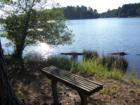 Holly Lake Ranch - deer in backyard Texas lake view , Texas lake front a private gated high security resort area in East Texas enjoy 3.5 acre lake house for only $499,999 contact Lynn 972-699-9111 http://www.lynn911.com more details. 
      