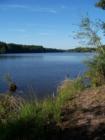 Holly Lake Ranch - deer in backyard Texas lake view , Texas lake front a private gated high security resort area in East Texas enjoy 3.5 acre lake house for only $499,999 contact Lynn 972-699-9111 http://www.lynn911.com more details. 
      