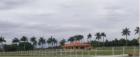 Equestrian farm and palms in the Redland
