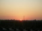 The sun setting over a nursery in the Redland.