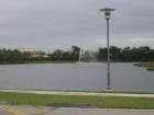 A lake at the Florida International University campus.