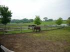 Buttonwood Farm